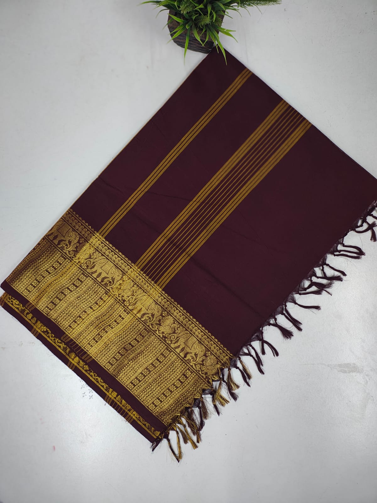 Pure Kanchi Cotton Saree with Rich Zari Border
