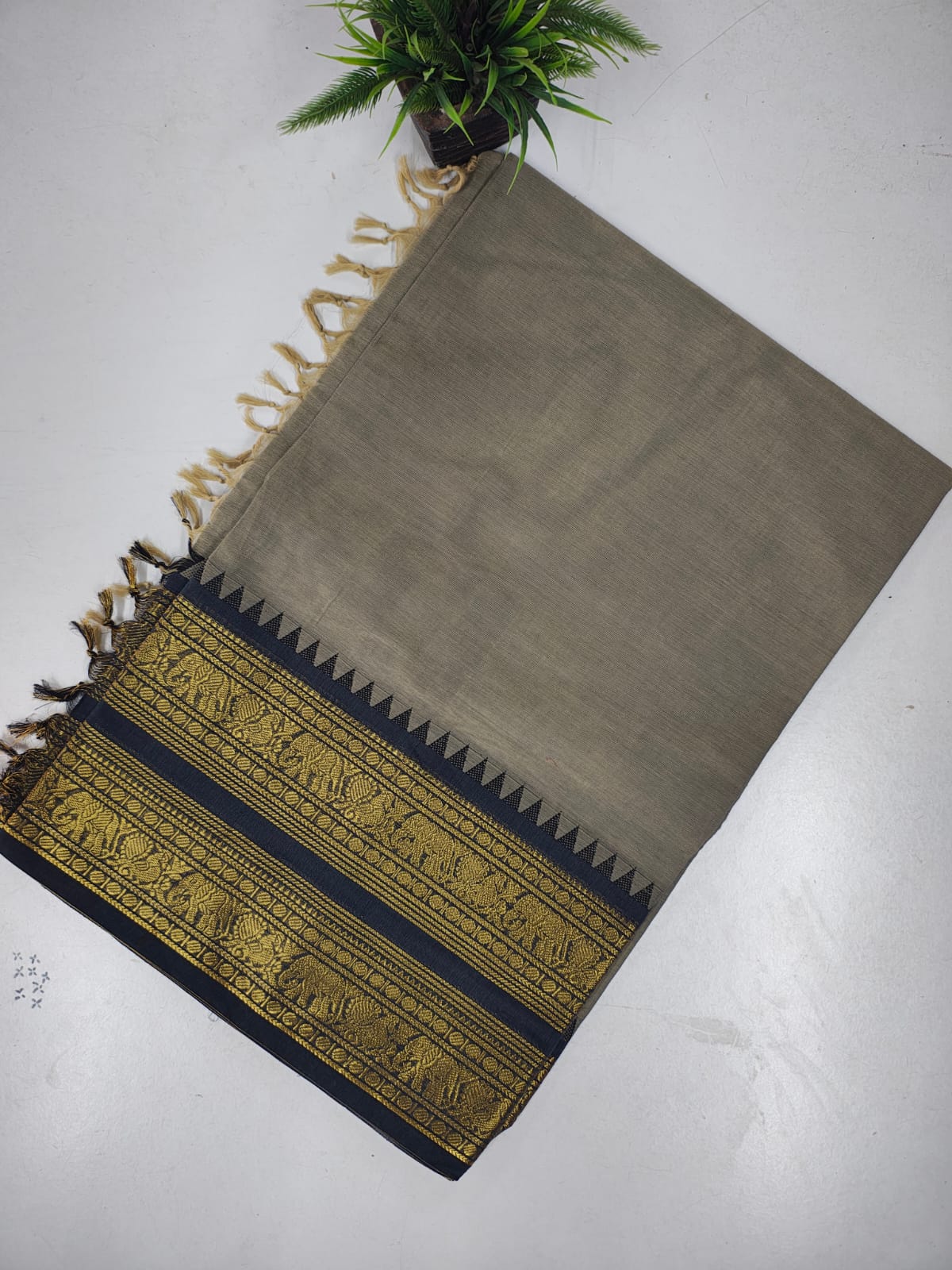 Pure Kanchi Cotton Saree with Rich Zari Border