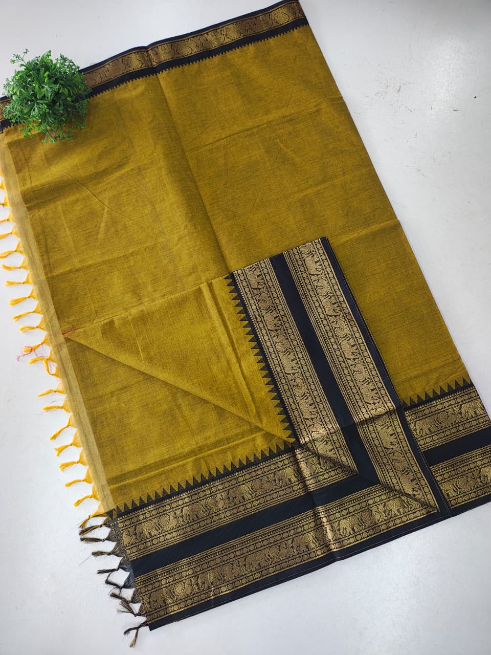 Pure Kanchi Cotton Saree with Rich Zari Border