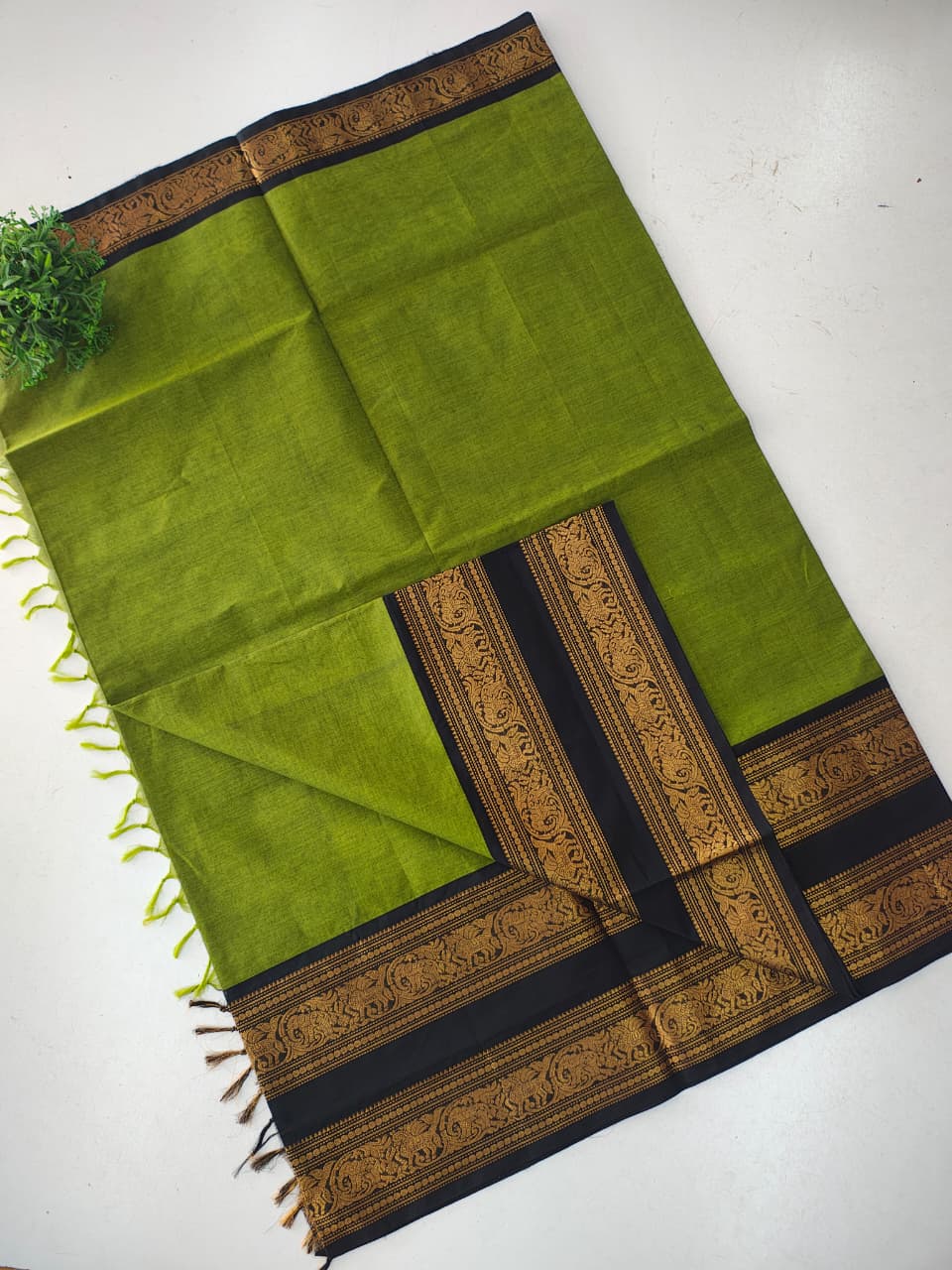 Pure Kanchi Cotton Saree with Rich Zari Border