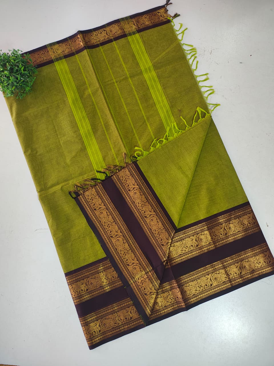 Pure Kanchi Cotton Saree with Rich Zari Border