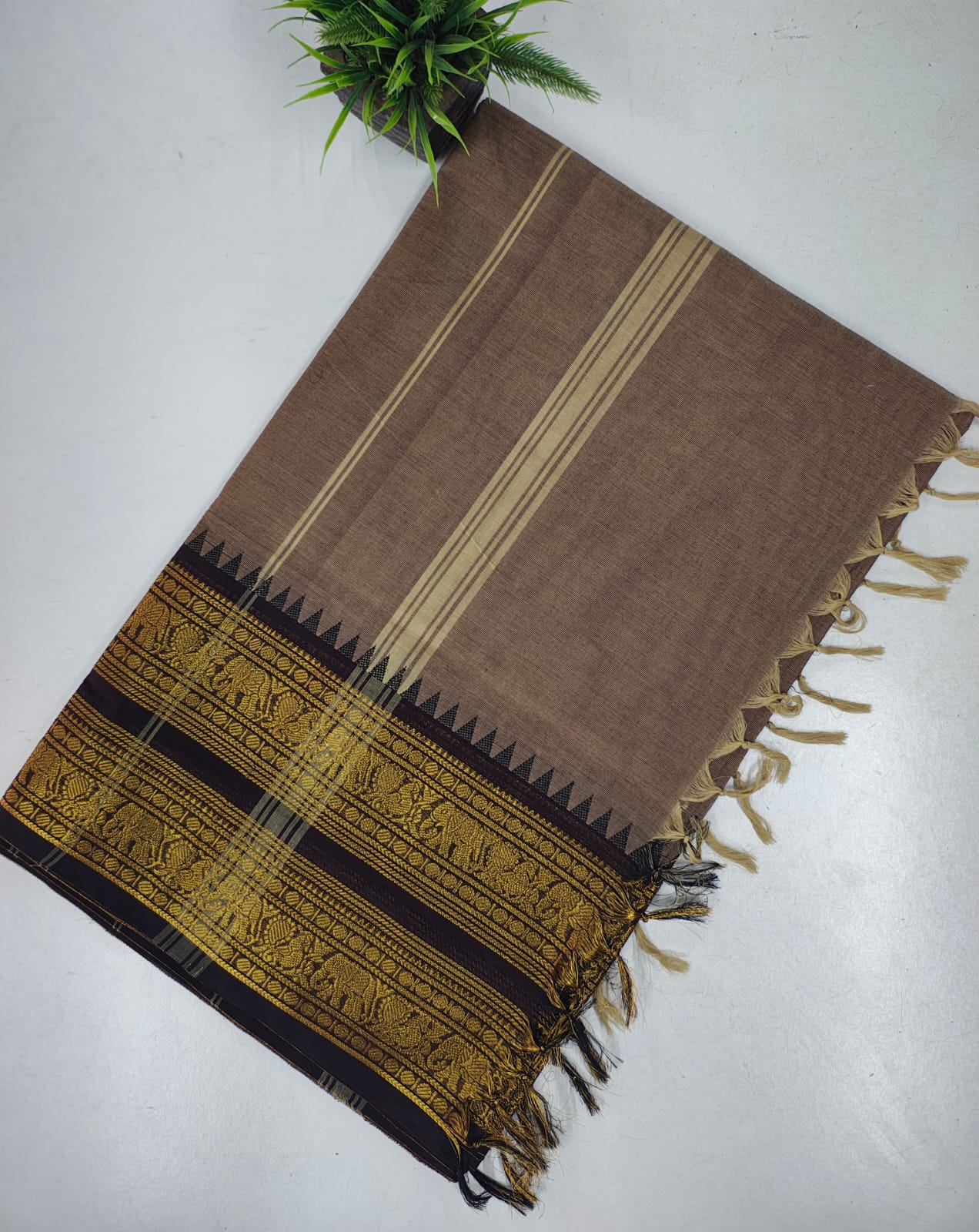 Pure Kanchi Cotton Saree with Rich Zari Border