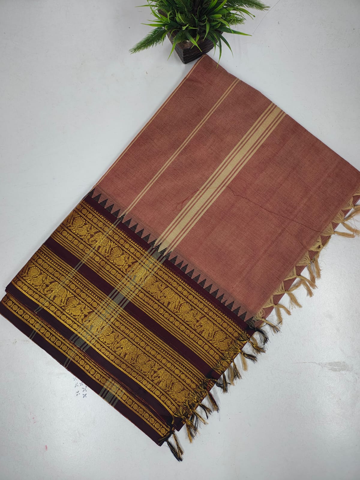 Pure Kanchi Cotton Saree with Rich Zari Border